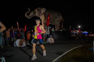 BIB: 
                            <button type="button" onclick="openModal(26551891)" class="btn btn-primary btn-sm float-right btn-popup" data-toggle="modal" data-target=".modal-high-quality">
                        <i class="fas fa-shopping-cart"></i> Add to Cart
                    </button>
                                            <button type="button" onclick="isThisMe(26551891, true)" class="btn btn-success btn-sm float-right btn-popup btn-isme hidden" data-toggle="tooltip" data-placement="bottom" title="นี่คือรูปของคุณใช่ไหม คลิกที่นี่เพื่อเอาเข้าอัลบั้ม">
                        <i class="fas fa-plus"></i> Add to album
                    </button>
                    <button type="button" onclick="isThisMe(26551891, false)" class="btn btn-warning btn-sm float-right btn-popup btn-isnotme hidden">
                        <i class="fas fa-ban"></i> Remove from album
                    </button>